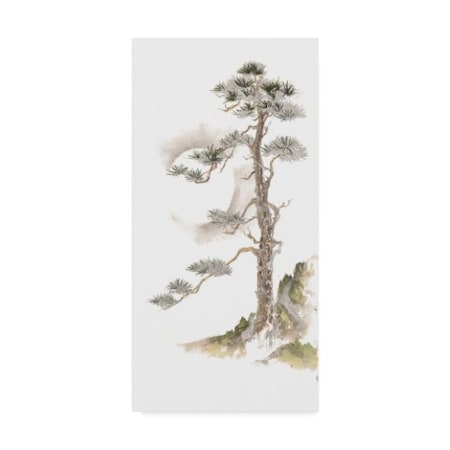 Chris Paschke 'Moon Pine On White' Canvas Art,12x24